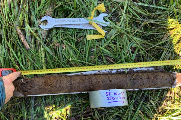 A peat core on a grassy surface being measured against a tape measure. Two wrenches and a roll of duct tape lay next to the core.