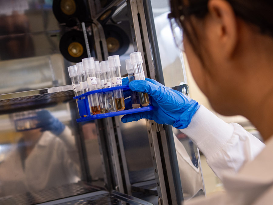 A person taking a tray of test tubes out of a metal cabinet. They are wearing eye protection, a lab coat and gloves.