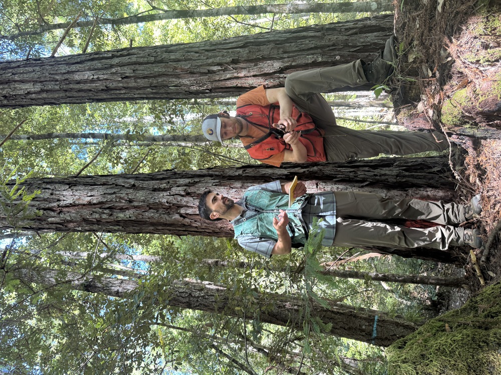 Researchers Conor Phelan and Bryant Nagelson posed in a giant sequoia grove.