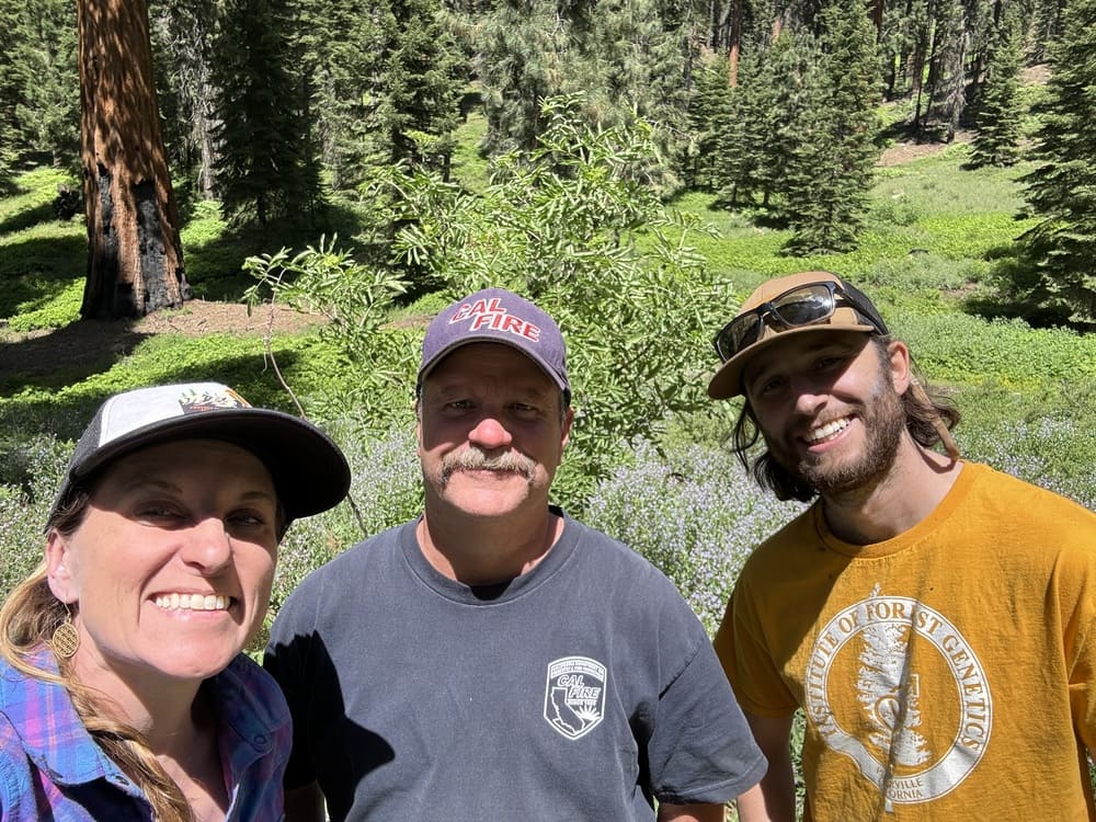 The research team posed in one of the giant sequoia groves. 