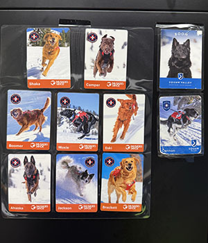 Cards that show the avalanche dogs working at Palisades Tahoe and Squaw Valley.