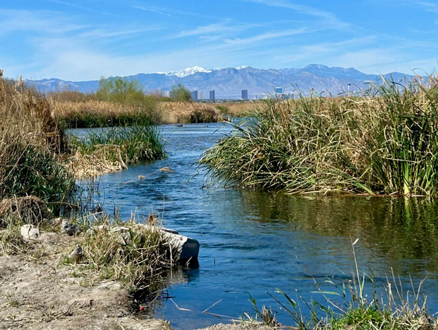 A view of the Colorado River with a city in the background.