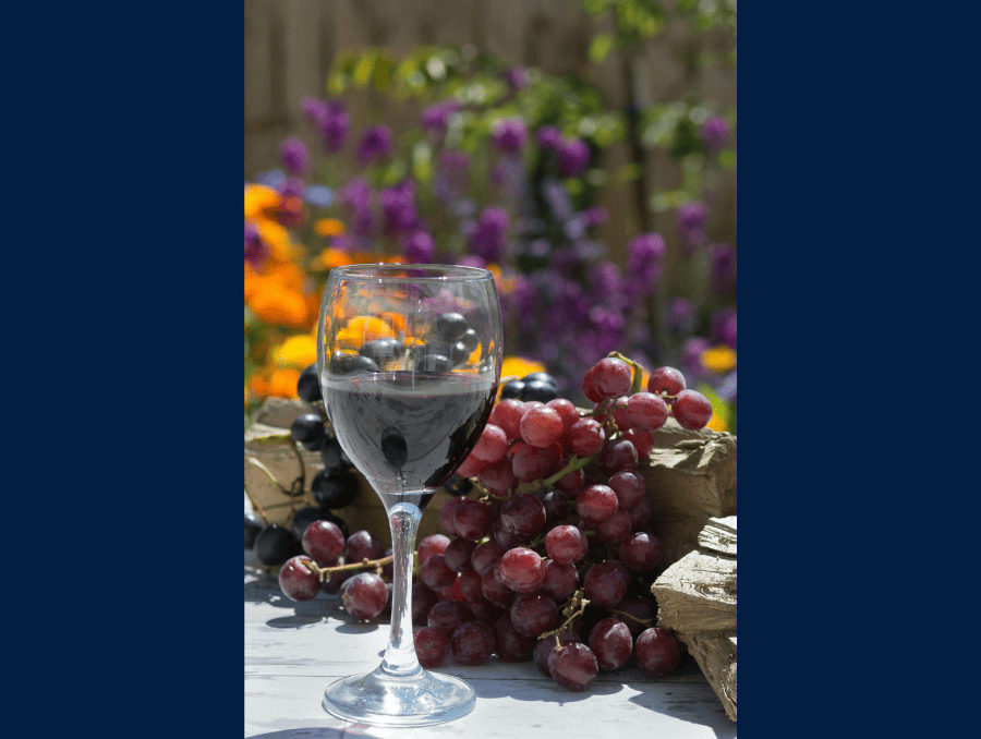 Wine in a wine glass.