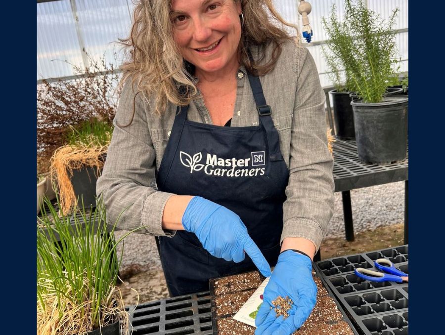 An individual in a hoop house wearing an apron and vinyl gloves pointing at seeds held in one hand.