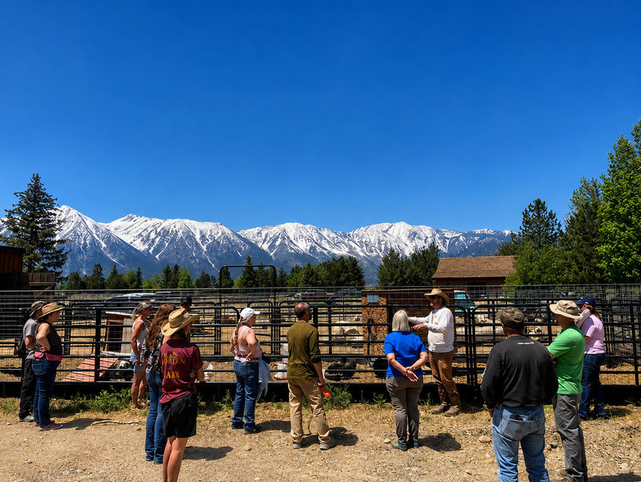 Participants of a previous Beginning Farmers & Ranchers course by a fenced chicken coop and cattle pen.