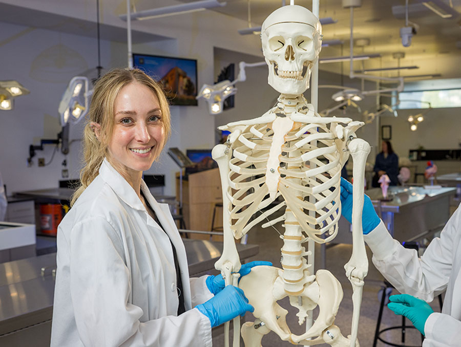 A student next to a replica of a human skeleton in the Anatomy Lab.