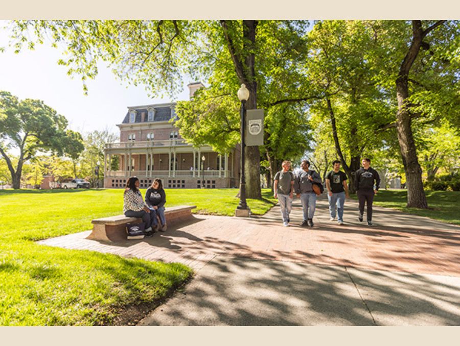 Students gather and walk along a sunny campus pathway along the Quad surrounded by trees and green lawns with Morrill Hall in the background.