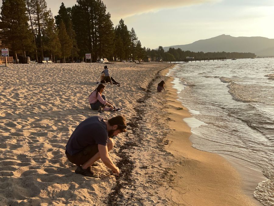 Facundo Scordo examining the black debris collecting on the shores of Lake Tahoe.