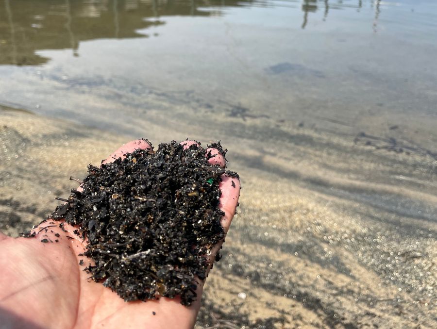 A hand holding ashy beach debris at Lake Tahoe.