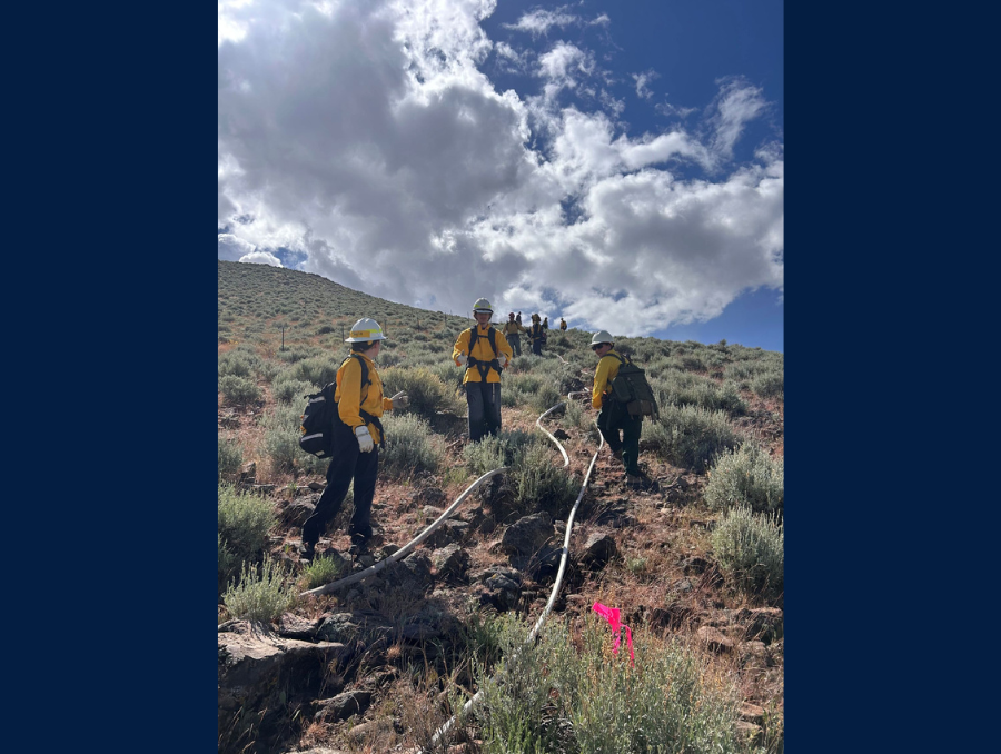 Young firefighters reel a hose up a vegetation-covered hillside during a training exercise. 