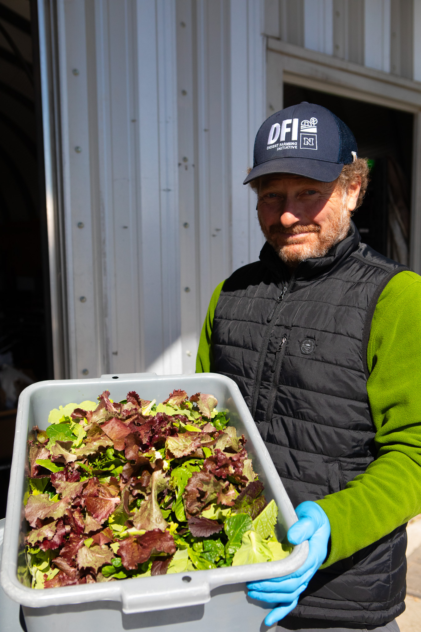 Matt Catalano showing off a basin-load of freshly harvested spinach. 