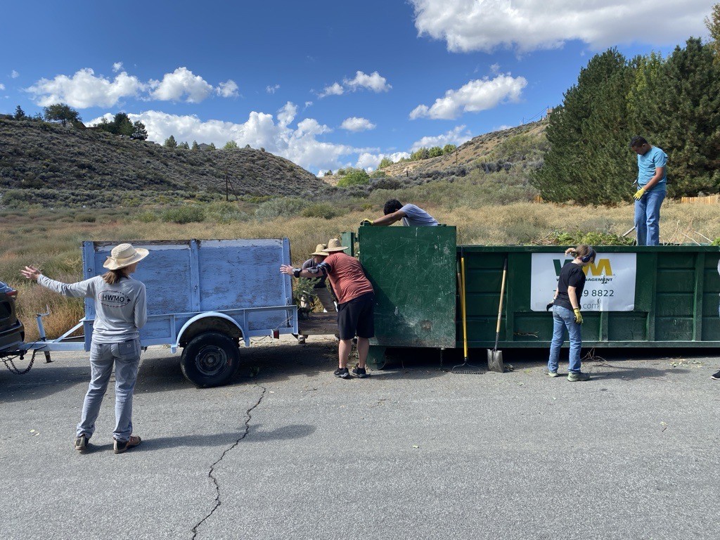 Individuals loading dead vegetation into waste management trailers by a hillside.