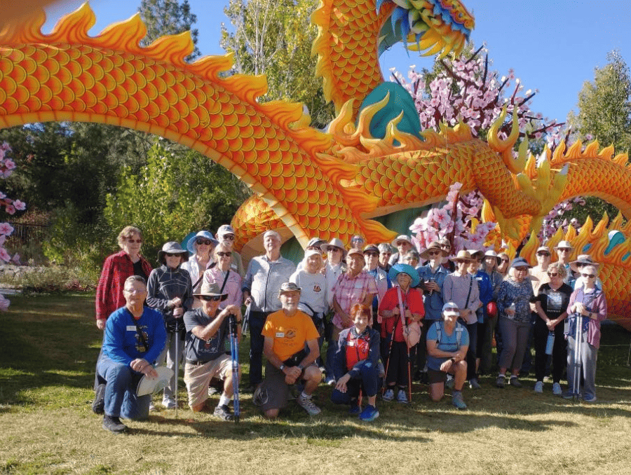 A group of older adults with walking sticks standing in front of an inflatable dragon.
