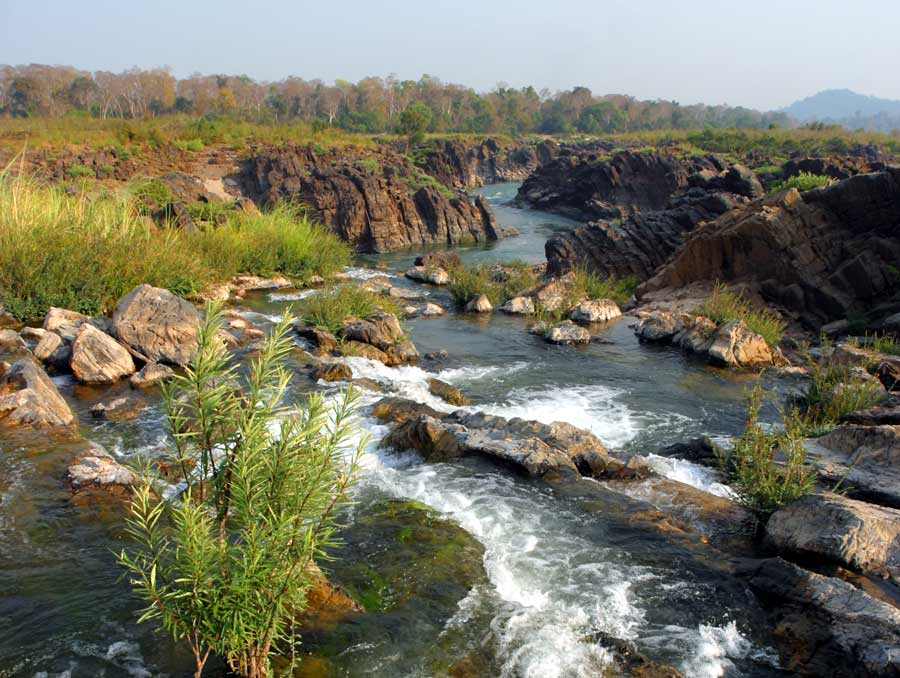 A river flows down a waterfall with vegetation in and around the riverbanks.