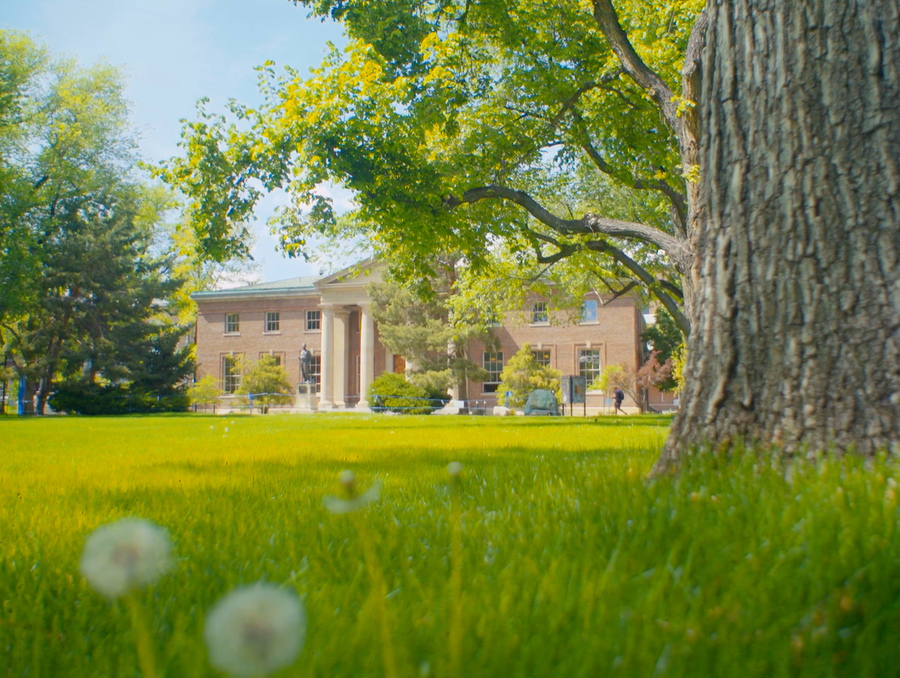The quad with green grass.