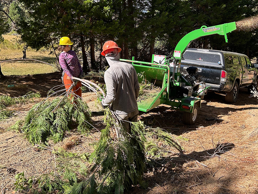 Fire mitigation efforts in the Whittell Forest and Wildlife area include removal of forest fuel materials.