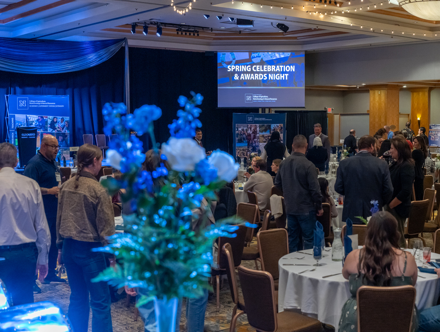 Guests mingle at the awards ceremony.