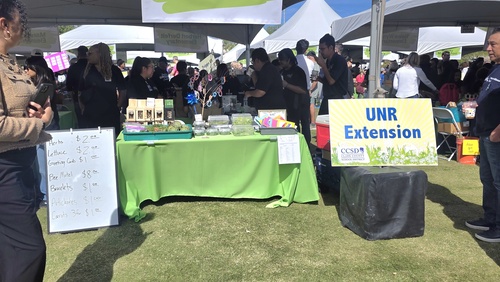 Students selling vegetables at a farmers market.