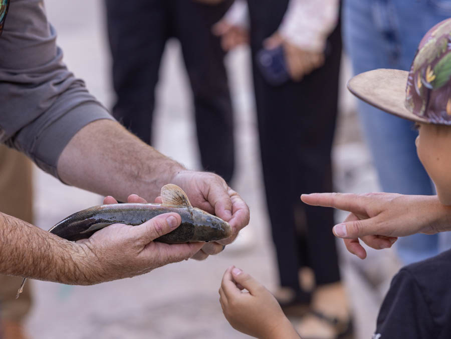 Crookshanks shows a fish up close to a young child who reaches to touch the fish.