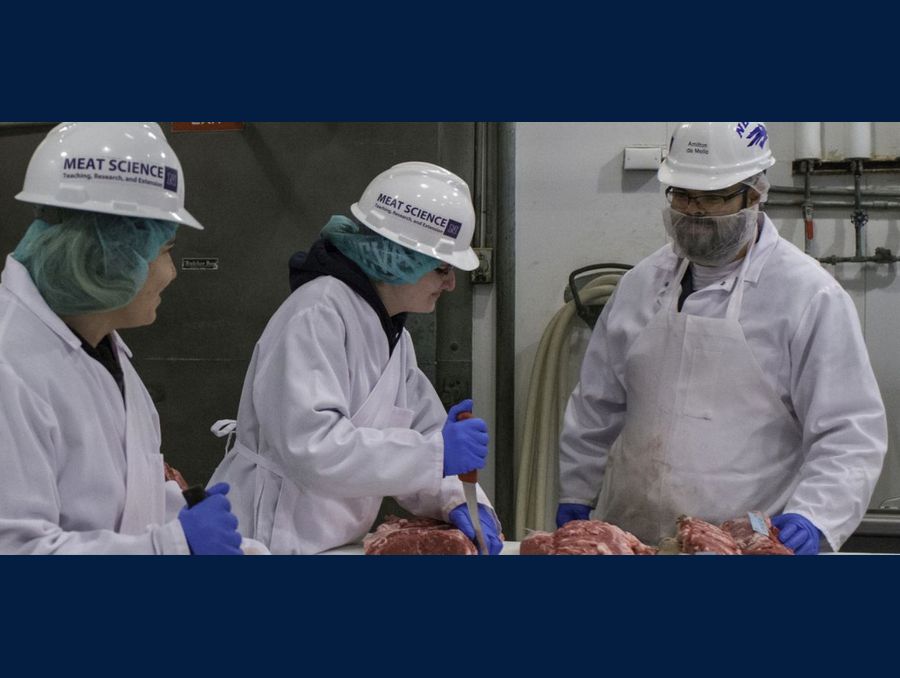 An individual looking at two individuals cutting a slab of meat. 