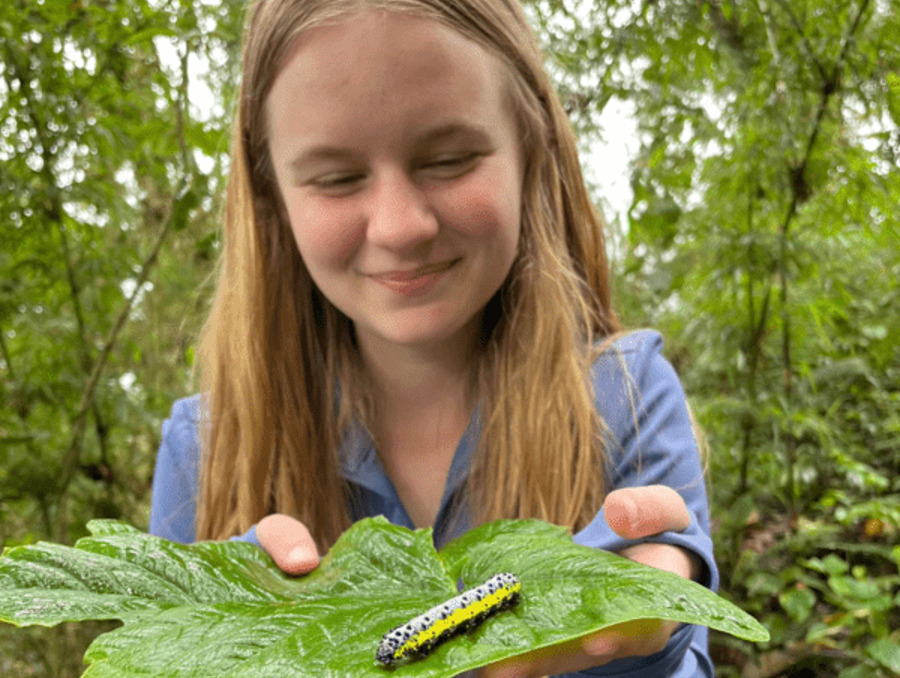 Claira Johnson smiles as she holds a leaf with a caterpillar resting atop it. 
