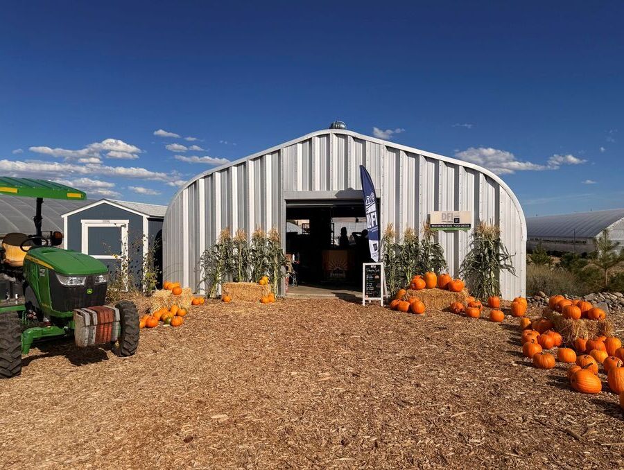 Freshly harvested pumpkins outside a barn.