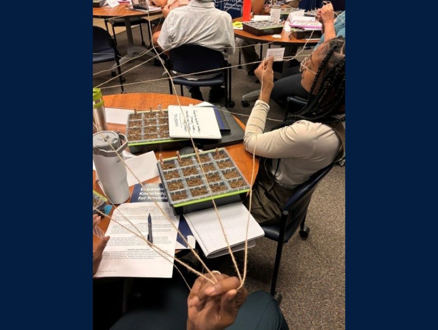 People holding a web of strings with seedling starter trays on several tables. 