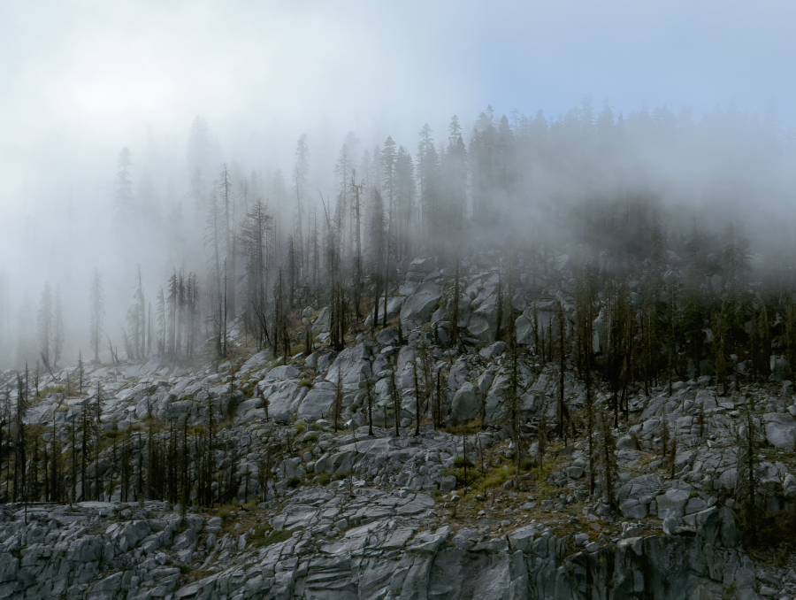 Fog drifts through pine trees across a rocky Sierra Nevada mountainside, photographed by Hunter Gardner during one of his hikes.