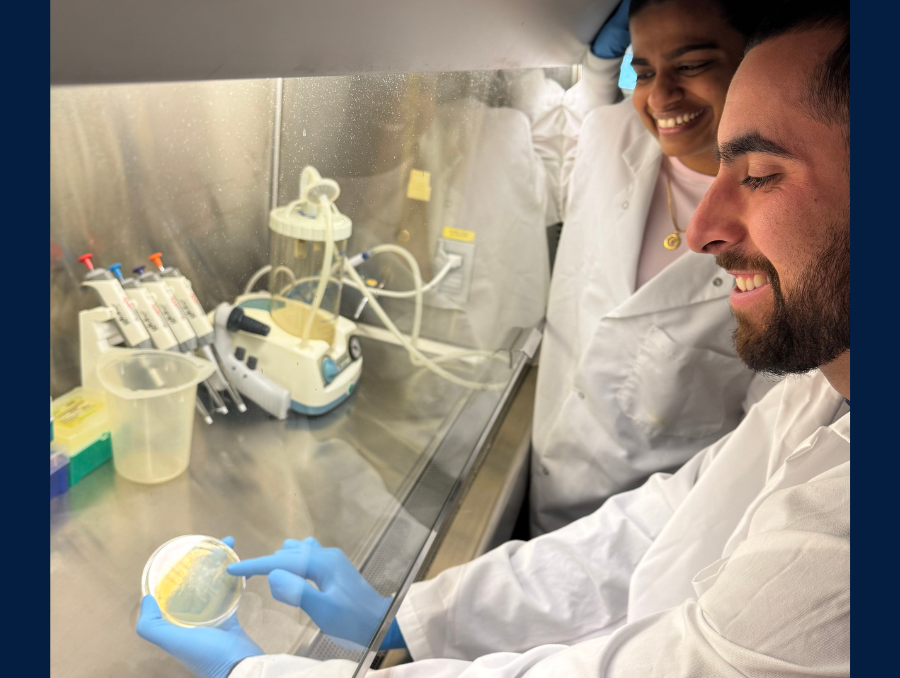 Matt Bolino and Nadini Haththotuwe Gamage looking at a petri dish.