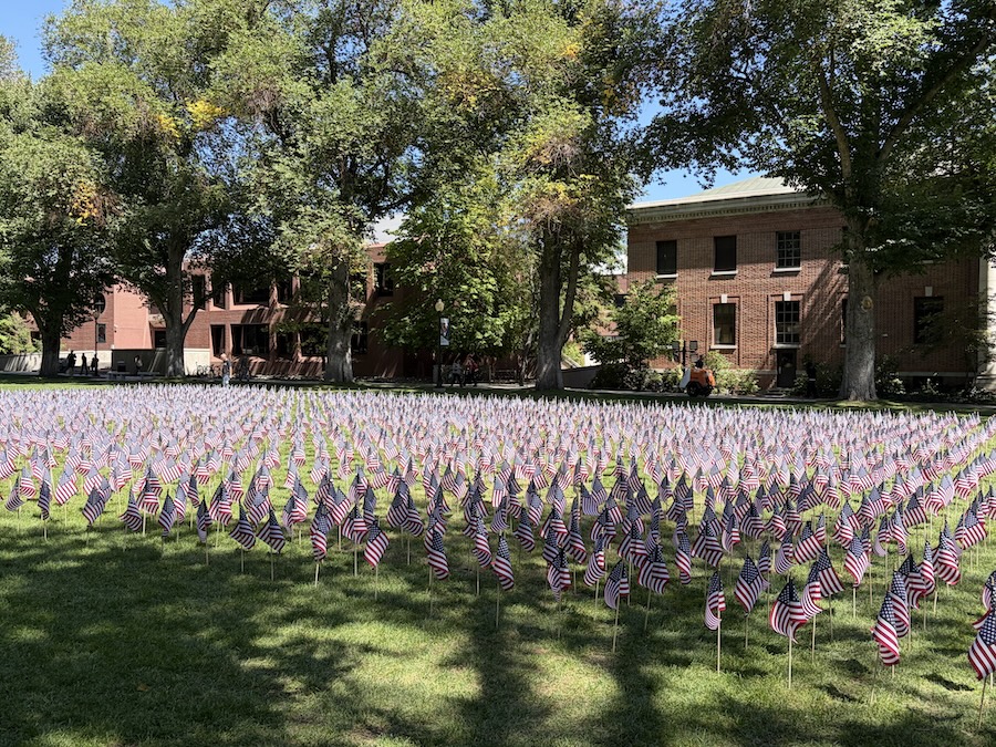 Small American Flags planted into the grass on the University of Nevada, Reno's quad.