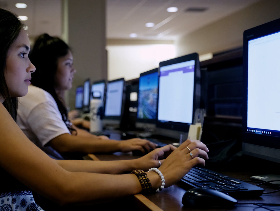 Students working on computers in a computer lab