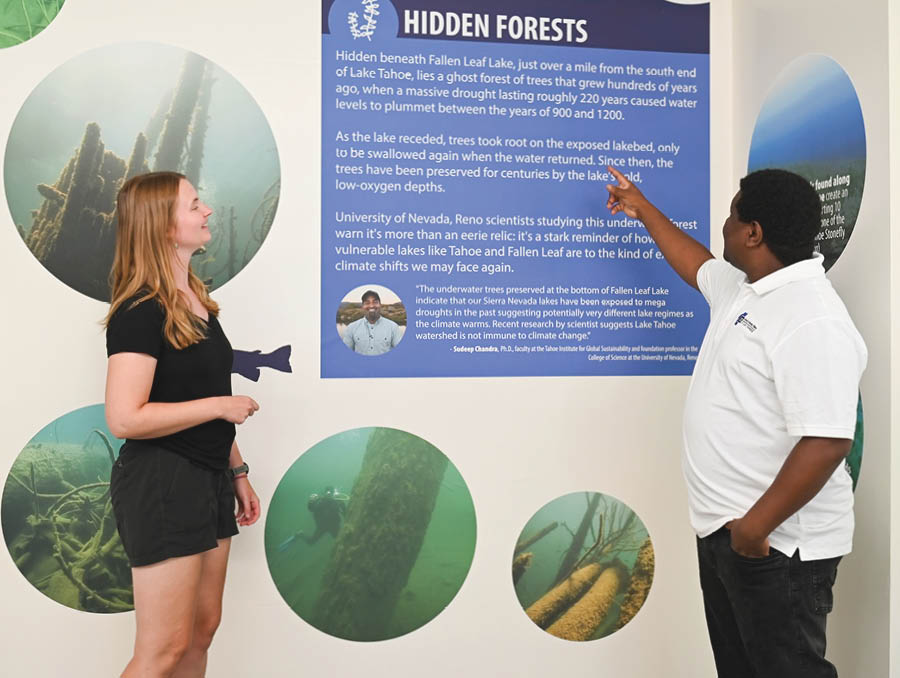Papson guides a visitor through the "Hidden Forests" section of the exhibit.