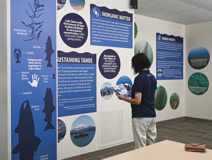 A visitor looks at a wall explaining the types of inorganic material found in Lake Tahoe.