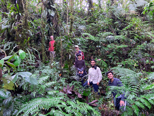 Five people scattered throughout a densely forested hill, smiling