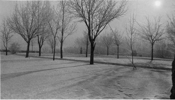 Historical black and white photo of the University's quad with the trees so young they are held up by poles and rope. There is snow on the ground.