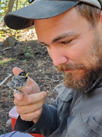 Ben Sonnenberg smiles at his hand on which perches a small mountain chickadee bird.