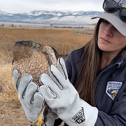 Raquel Martinze holds a bird of prey in gloved hands gazing at it in a field while wearing a hat.