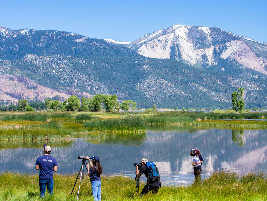 Students working alongside a stream at the base of snowy mountains in the Washoe Valley