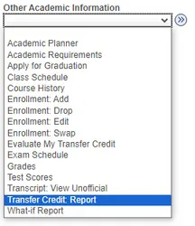 Screenshot of the Other Academic Information drop-down options in MyNevada, with Transfer Credit Report highlighted.