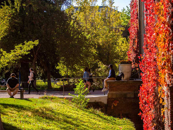Unr Finals Schedule Fall 2022 Unr Fall 2022 Finals Schedule - Fall Trends 2022