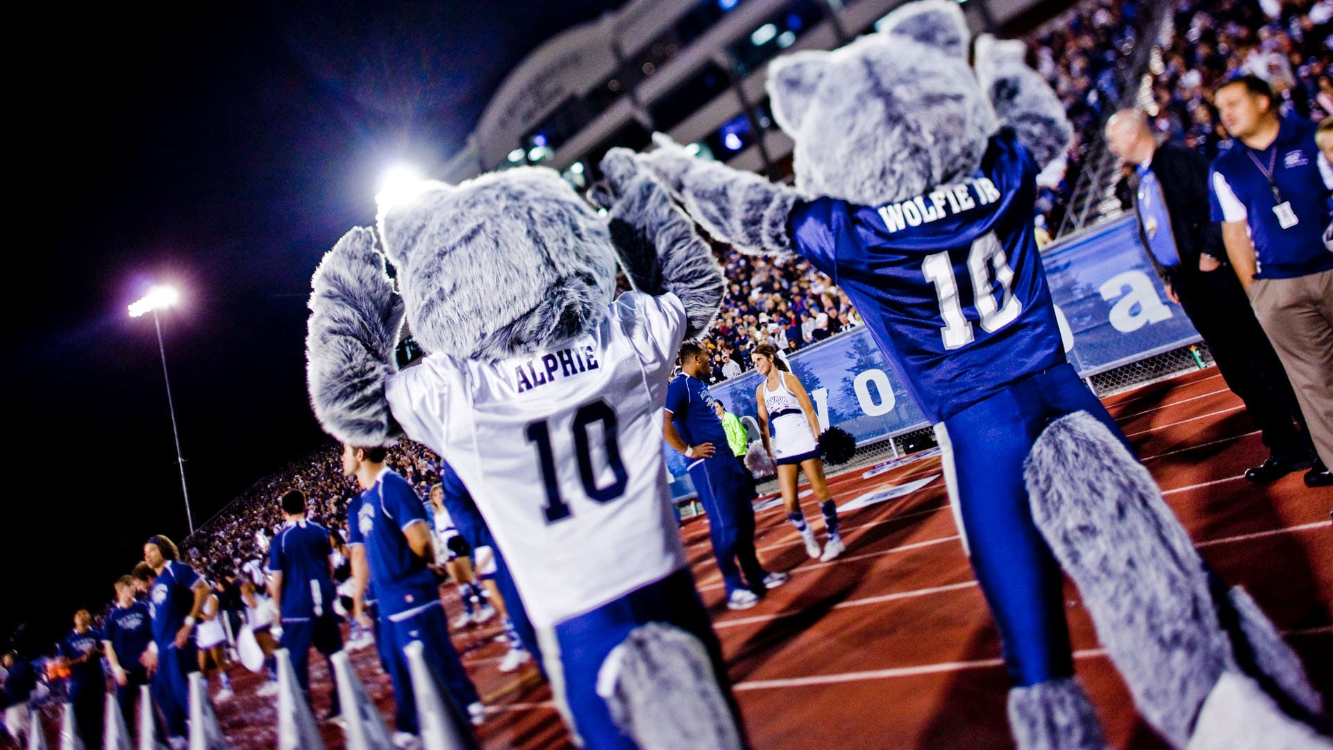 Nevada mascots Alphie and Wolfie wear Nevada football jerseys and celebrate at a football game surrounded by cheerleaders and fans in the stands.