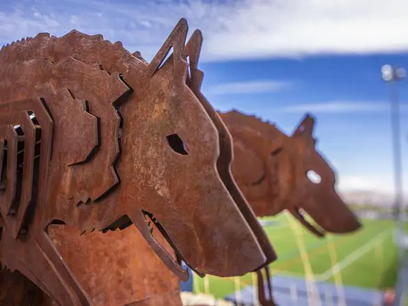 Three orange metal statutes of wolves are in the foreground with practice soccer fields in the distance.