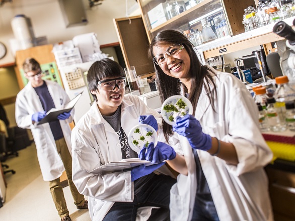 Two students wearing protective lab clothing, gloves and eyewear hold lab samples while a third student wearing protective lab equipment stands in the background.