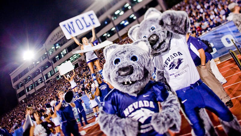 UNR mascots Alphie and Wolfie Jr. wear Nevada football jerseys and cheer as cheerleaders hold up signs behind them as a large crowd of fans fill the stands at Mackay Stadium.