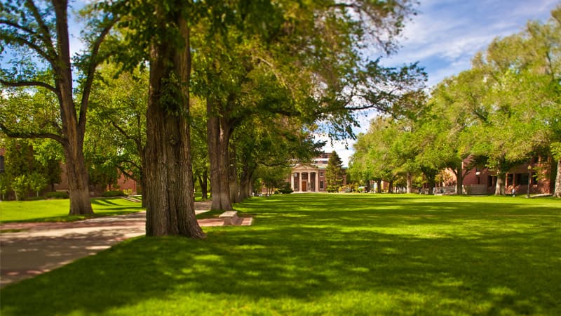 A view looking north at the University of Nevada, Reno Quad, a large lawn area surrounded by large trees with the Mackay School of Mines visible at the end of the Quad.