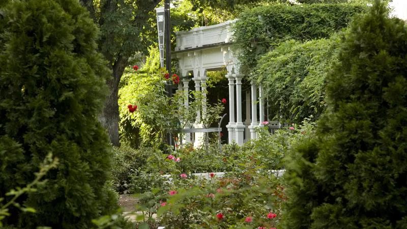 The Honor Court at the University of Nevada, Reno, a white promenade with columns, surrounded by green ivy, bushes and trees.
