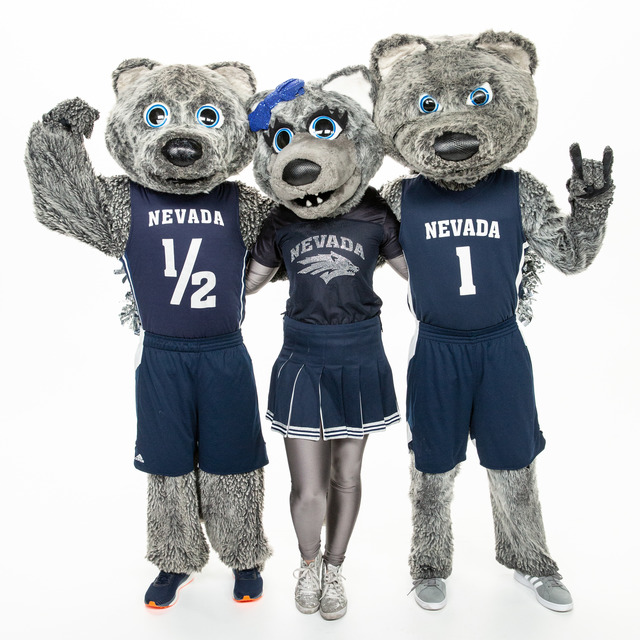The three University of Nevada mascots, Wolfie Jr., Luna and Alphie, wear Nevada outfits and pose for a photo.