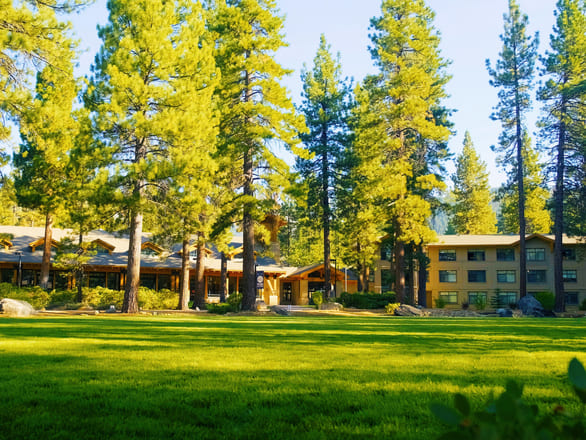 University of Nevada, Reno at Lake Tahoe campus featuring lodge-style buildings with tan walls and green roofs, nestled among tall pine trees. A wide, sunlit lawn stretches across the foreground, framed by landscaped greenery, with a backdrop of clear blue sky and forested mountains.