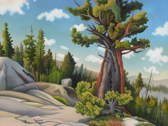 Plein Air landscape oil painting from Phyllis Shafer