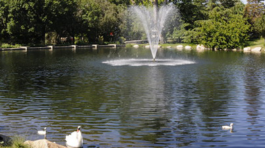 Manzanita Lake, on the campus of the University of Nevada, Reno, a small lake with a large water spout, lined with trees and home to numerous birds and swans.